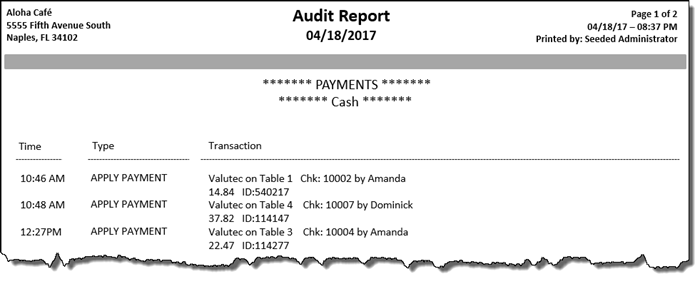 Audit report example
