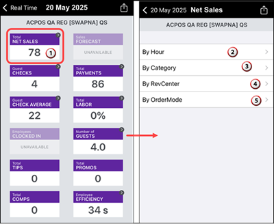 Sample Total Net Sales View